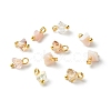 Electroplate Glass Charms PALLOY-JF00821-07-1