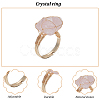 ANATTASOUL 6Pcs 6 Style Natural Mixed Gemstone Nugget Adjustable Rings Set RJEW-AN0001-04-3