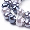 Shell Pearl Beads Strands BSHE-L035-E04-1