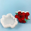 Food Grade Silicone Molds DIY-E028-13-1