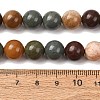 Natural Gobi Agate Mongolia Colorful Jade Beads Strands GG-CBA3173-A01-10mm-5