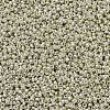 MIYUKI Round Rocailles Beads X-SEED-G007-RR0181-4