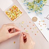 800Pcs 4 Colors 2-Hole Glass Seed Beads SEED-CN0001-04-4