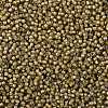 TOHO 8/0 Round Beads X-SEED-TR08-0390-2