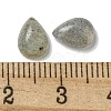 Natural Labradorite Cabochons G-Q173-02B-07-3