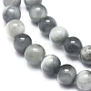 Natura Hawk's Eye Beads Strands G-D0001-22C-10mm-3