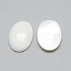 Freshwater Shell Cabochons SSHEL-R042-27-2