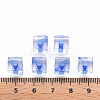 Transparent Acrylic Beads TACR-S154-12A-86-4