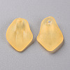 Transparent Frosted Acrylic Pendants MACR-S371-03A-719-2