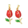 Brass Enamel Pendants KK-I371-33G-02-1