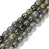 Tibetan Style dZi Beads Strands TDZI-E005-01R-1