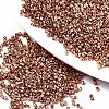 FGB 11/0 Grade A Glass Seed Beads X-SEED-S030-1201-1