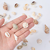 Trumpet Shell Beads BSHE-YW0001-03-7