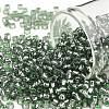 TOHO 8/0 Round Beads X-SEED-TR08-2202-1