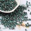 Transparent Inside Colours Glass Seed Beads SEED-H002-A-C222-1
