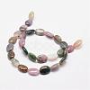 Natural Indian Agate Beads Strands G-N0173-02-10x14mm-2