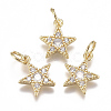 Brass Micro Pave Cubic Zirconia Charms ZIRC-F111-11G-1
