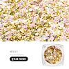 Nail Art Glitter Sequins AJEW-Q033-003H-2