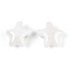 Handmade Porcelain Beads PORC-Q002-03B-01-2
