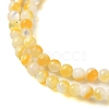 Natural Yellow Shell Beads Strands SHEL-M021-03A-3