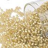 TOHO Round Seed Beads SEED-JPTR11-0022F-1