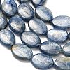 Natural Kyanite Beads Strands G-H335-D01-10x14mm-4