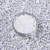 Transparent Glass Beads SEED-S040-08A-11-2