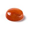 Natural Red Aventurine Cabochons G-P393-R48-14.5mm-4