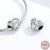 925 Sterling Silver Euorpean Beads STER-FF0012-02AS-4