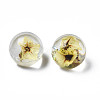 Translucent Acrylic Cabochons TACR-N006-13C-1
