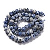 Natural Blue Spot Jasper Beads Strands G-K380-A02-01-3