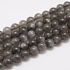 Natural Black Moonstone Beads Strands G-F306-06-8mm-1