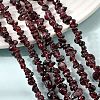 Natural Garnet Beads Strands G-P406-55-5