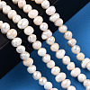 Natural Cultured Freshwater Pearl Beads Strands X-PEAR-N013-04E-6