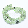 Natural Prehnite Beads Strands G-E483-71-2
