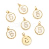 Brass Micro Pave Clear Cubic Zirconia Charms ZIRC-J040-44G-05-1