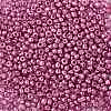 8/0 Glass Seed Beads SEED-A017-3mm-1111-2