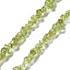 Natural Peridot Beads Strands G-E607-A06-1