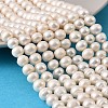 Natural Cultured Freshwater Pearl Beads Strands PEAR-L034-17D-1