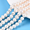Natural Cultured Freshwater Pearl Beads Strands LS-PEAR-N013-17N-01-1