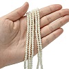 Eco-Friendly Dyed Glass Pearl Round Beads Strands HY-A002-4mm-RB001-4