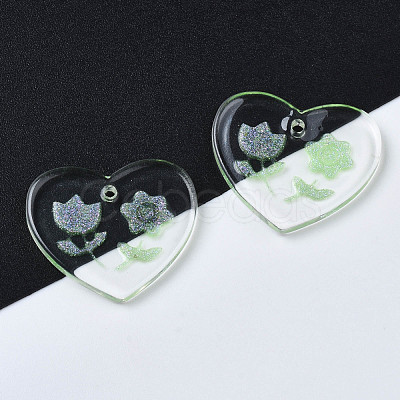 Transparent Resin Pendants RESI-N030-001A-1