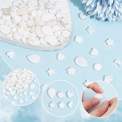 120Pcs 6 Styles Natural Shell Beads SHEL-AR0001-16-1