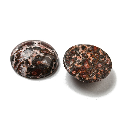 Natural Leopard Skin Jasper Cabochons G-C115-02A-44-1