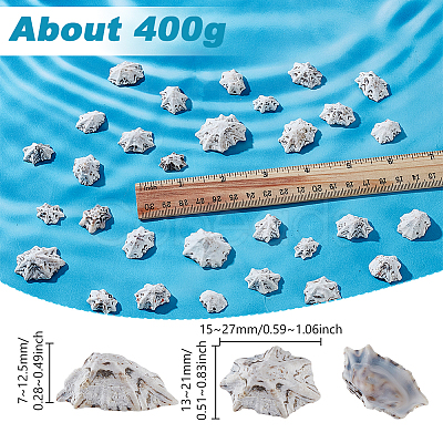 400G Natural Shell Beads SHEL-GA0002-31-1