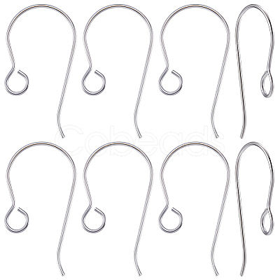 20Pcs Titanium Earring Hooks FIND-BBC0005-23-1