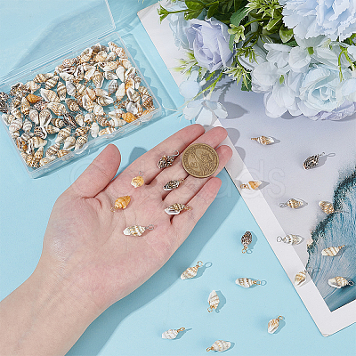 120Pcs 2 Colors Natural Shell Pendants FIND-ME0002-50-1
