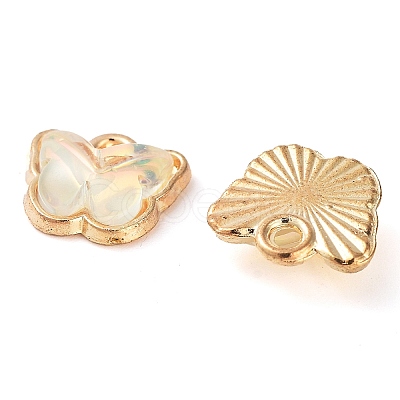 Rack Plating Alloy Glass Charms FIND-Q099-07G-07-1