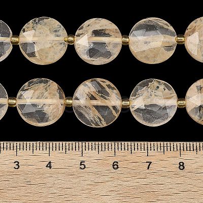 Coffee Watermelon Stone Glass Beads Strands G-A292-A04-01-1