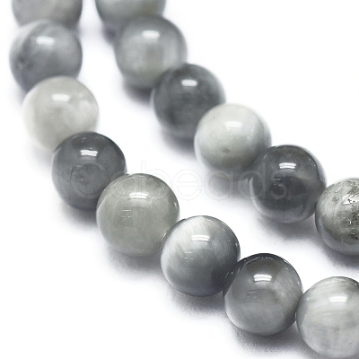 Natura Hawk's Eye Beads Strands G-D0001-22C-10mm-1